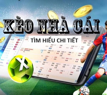 Top88s Kết quả xổ số Bình Định